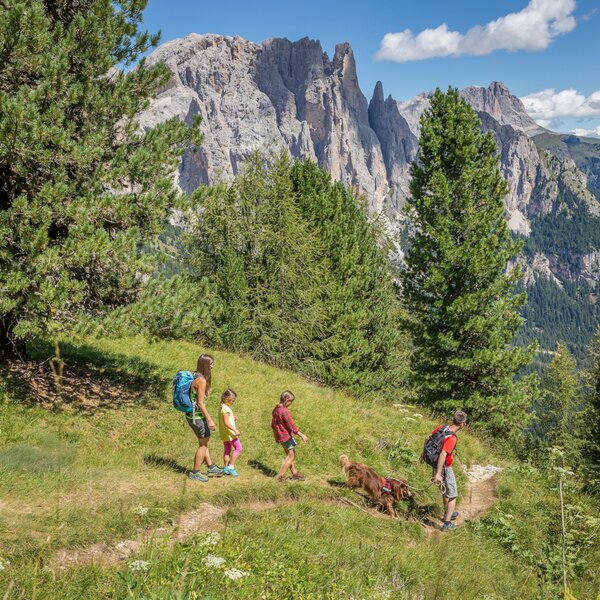 Wandern